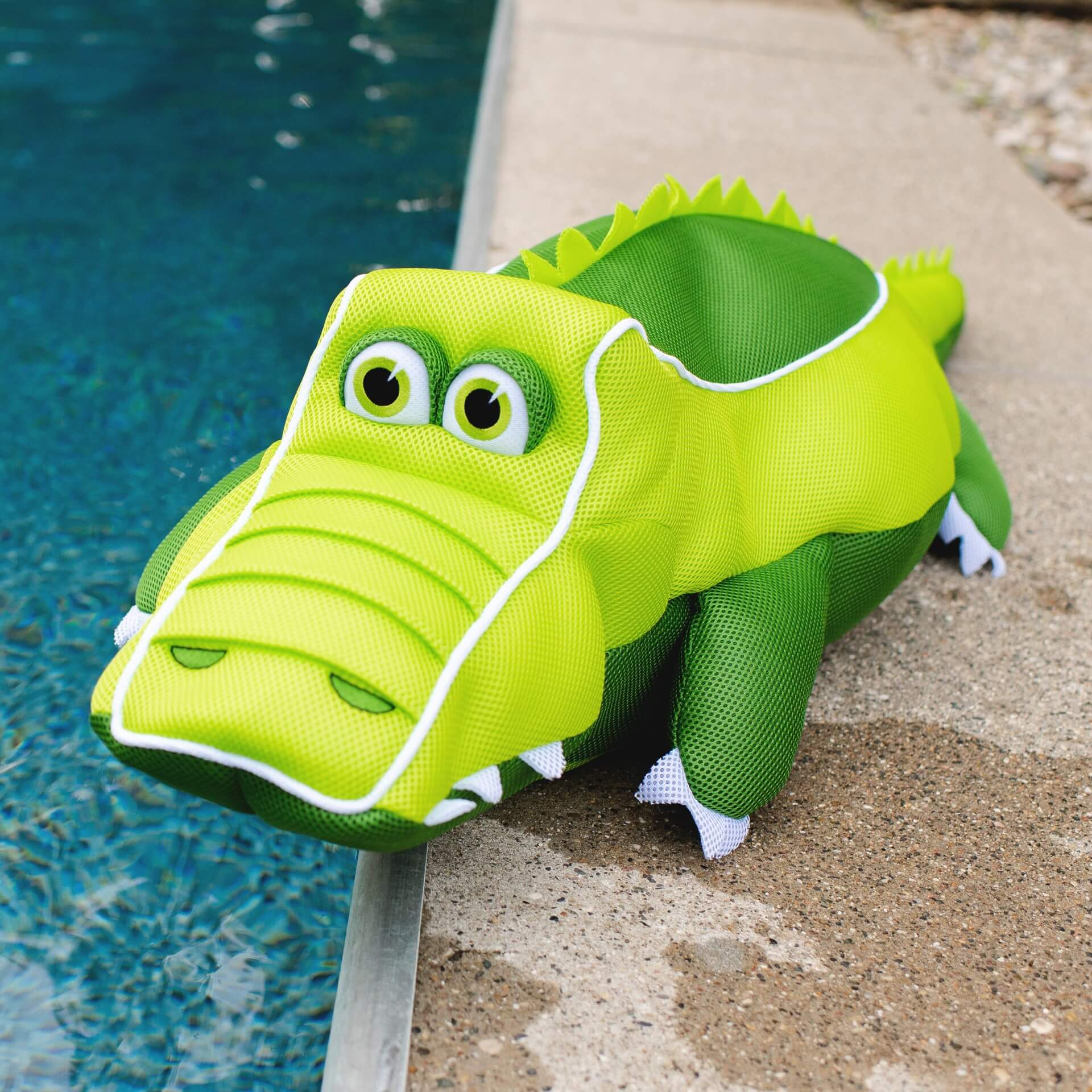 Pool Petz® Large - Image 52
